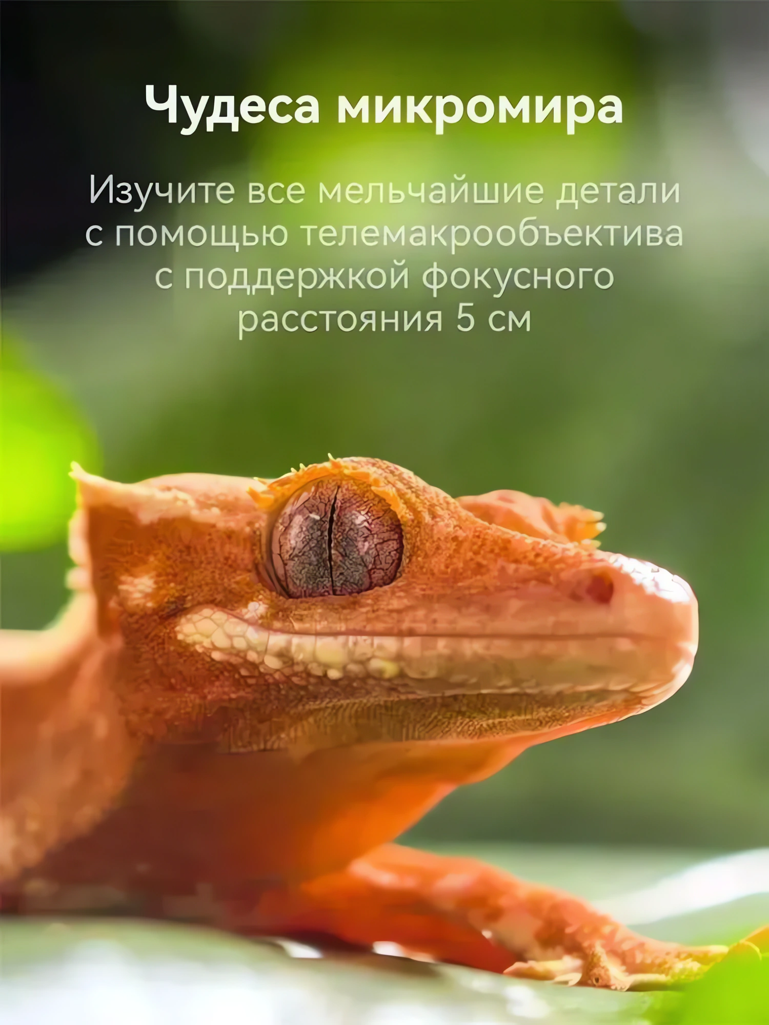 Смартфон i17, Смартфон i17